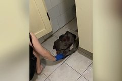 Появились подробности о матери брошенного в туалете российского общежития новорожденного