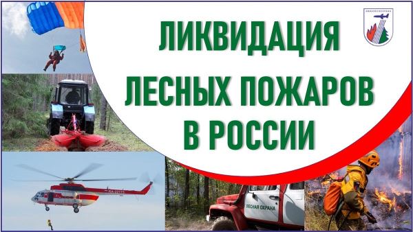 О лесопожарной обстановке в России на 25.11.2025 - Экологические новости на ECOportal.su