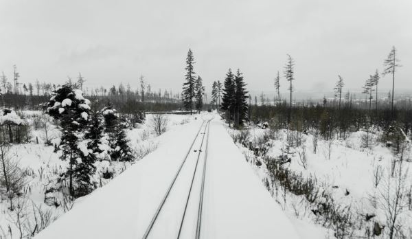 РЖД заморозили цены на билеты в «Сапсаны», которых практически нет