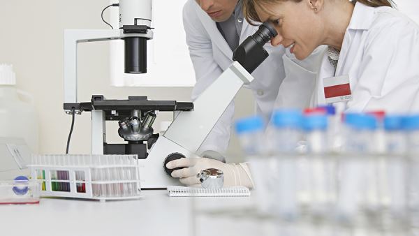 Ученые рассказали о скрытой роли жировой ткани в здоровье