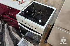 Собака устроила взрыв в Новосибирске