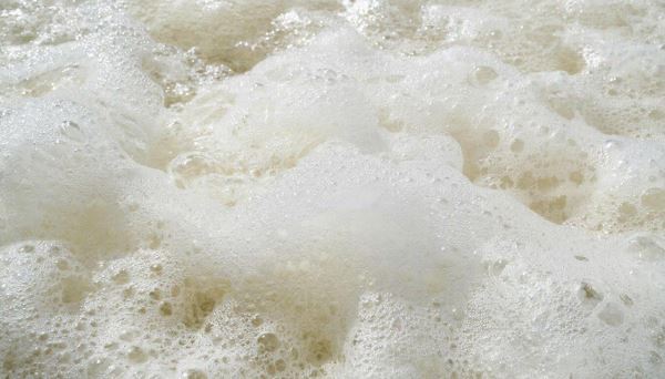 Директор спортклуба в Новороссийске заплатит штраф за пенную вечеринку - Экологические новости на ECOportal.su