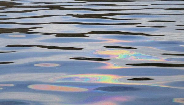 Нефтепродукты попали в Волгу в Саратовской области после затопления судна - Экологические новости на ECOportal.su