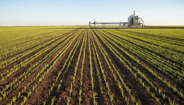 Утилизация отходов сельского хозяйства: биогаз и биоудобрения - Экологические новости на ECOportal.su