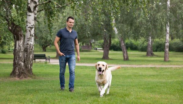 Чем грозит хозяину прогулка с собакой без намордника по новым правилам - Экологические новости на ECOportal.su