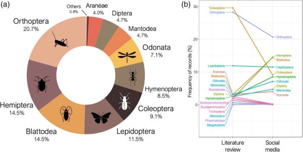 Ученые узнали по соцсетям, на каких насекомых охотятся кошки - Экологические новости на ECOportal.su