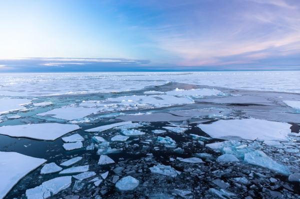 На акватории Севморпути началось активное ледообразование в Чукотском море