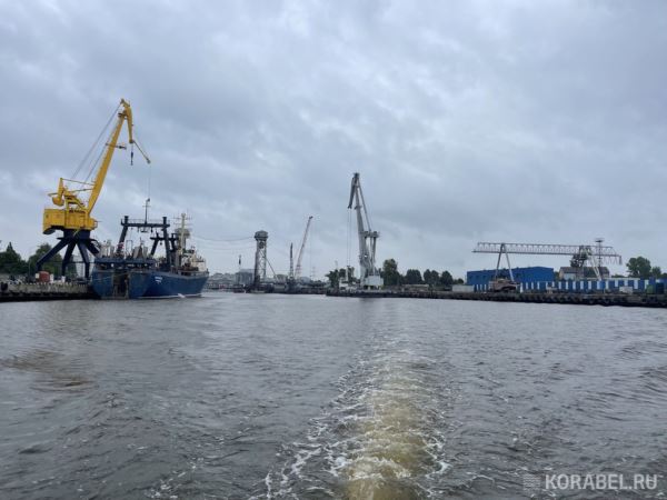 Сухогрузы на линии Санкт-Петербург — Калининград в ноябре перевезли 25 тыс. т грузов