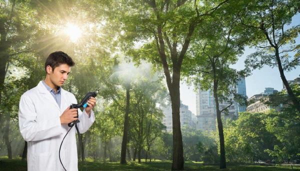 Зеленые зоны станут измеримыми защитниками воздуха в российских городах - Экологические новости на ECOportal.su