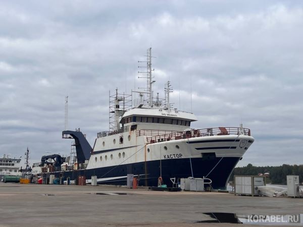 Новые требования к эксплуатируемым в полярных водах судам вступят в силу с 1 января